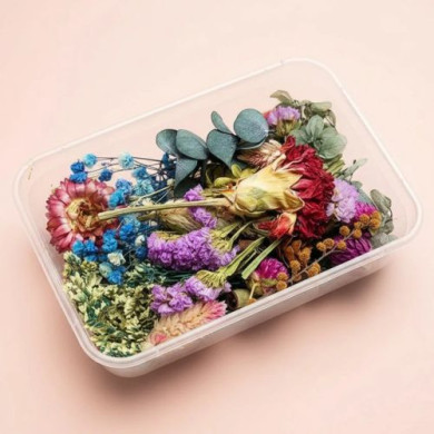 Natural Dried Flowers